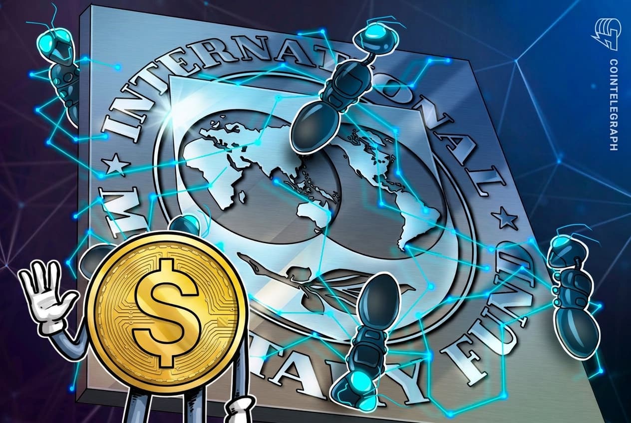 IMF Official: Domestic Stablecoins Could Paradoxically Fuel Adoption of Dollar-Backed Tokens