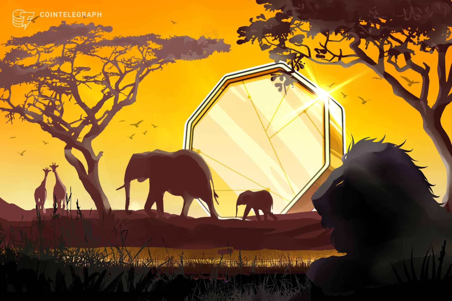 Zimbabwe admits 7 fintech projects to regulatory sandbox